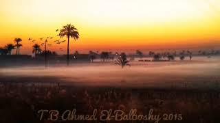 #Sunrise #شروق #الشمس #مصر #Egypt #Sohag 21Jan2015 6:25am