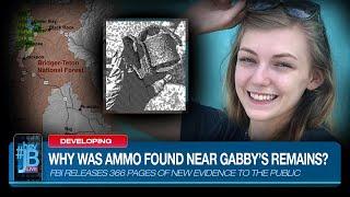 Gabby Petito FBI Evidence Release: Revolver ammo found near Gabby's remains | #HeyJB Live Interview