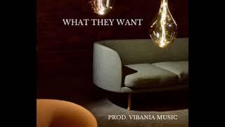 What They Want (Prod. Vibania music)