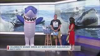 It's Shark Week and there's JAWsome activities at Shreveport Aquarium!