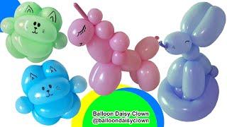 Balloon Animals - Balloon Cat UNICORN bunny rabbit