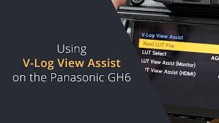 How to use V-Log View Assist on Panasonic Cameras | Preview LUTs on the Panasonic Lumix Cameras