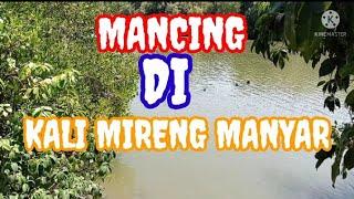 MANCING DI KALI MIRENG MANYAR GRESIK