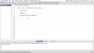 29. Declaring and initializing variables on a single line - Learn Java