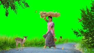 Beautiful Nature Green Screen Status Effect // Love Green Screen Status Video