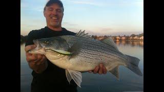 Hybrid Striper action on Lake Monroe, Indiana