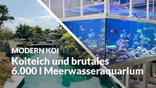 Sebatians Jürgen Kirchner Traumgarten | Modern Koi Blog #7161