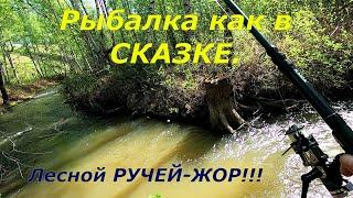 РЫБАЛКА/Лесной РУЧЕЙ-Сказочная Рыбалочка! /Проверил и ХАРИУСА.