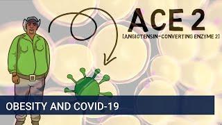 Why is being overweight or obese linked to COVID-19?