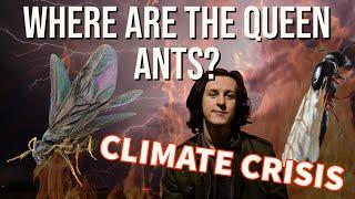 Where Are The Queen Ants? | Climate Crisis 2021