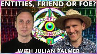 DMT Entities, friend or foe? With Julian Palmer