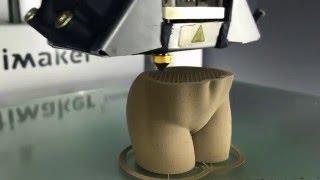 In progress Female Torso 3D print using Bronzefill