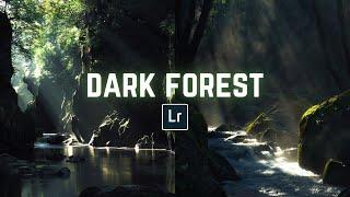 Dark Forest Preset | Free Lightroom Mobile Presets Free Dng | ReinaMarie Presets