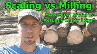 Scaling vs Milling, How Much Wood Is Actually In My Logs?