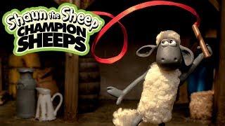 Thể dục nghệ thuật với lụa | Championsheeps | Những Chú Cừu Thông Minh [Shaun the Sheep]