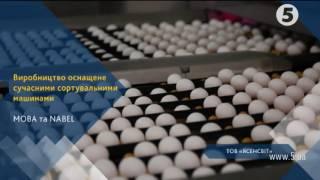 Україна Сьогодення - ЯСЕНСВІТ