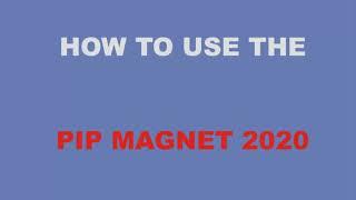 HOW TO TRADE WITH PIP MAGNET 2021