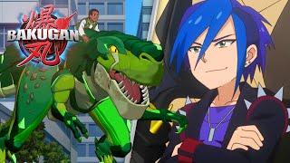  Bakugan: Revolution Episodes, Best Battles, Funniest Moments, and More! - 24/7 Cartoon Livestream