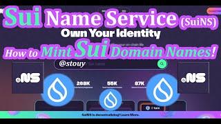 Sui Name Service Tutorial (How to Mint .sui Domain Names via SuiNS)