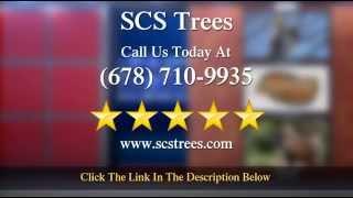 Marietta Tree Service Company - SCS Trees Acworth Remarkable 5 Star Review by Lita -.