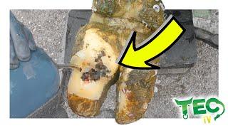 SOLE ULCER LESION IN COW'S FOOT | *NEW CRUSH UPDATE*
