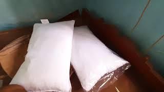 Recron Certified Dream Fibre Pillow