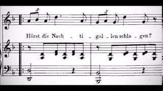 (Instrumental) Ständchen by Schubert