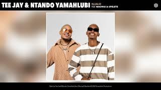 Tee Jay & Ntando Yamahlubi - Njalo (Official Audio) (feat. Msongi & Spelete)