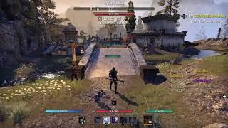 Dear Zenimax, Please Fix ESO UI Error On PS4. UPDATE: Temporary Solution Found, See Above Video