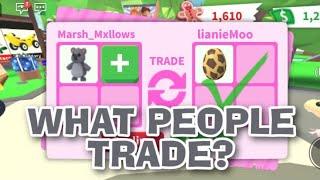 WHAT PEOPLE TRADE FOR A KOALA IN ADOPT ME? [ AMAZING ]