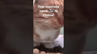 нет идей #мем #приколы #р_е_к_о_м_е_н_д_а_ц_и_