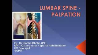 Lumbar spine-- Palpation! #StayHome and study #WithMe!