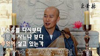 법화림_법정 스님 입적 11주기를 기리며, 무소유를 다시보다. 어떻게 살고 있는가 보다 무엇이 살고 있는가를 참구하라