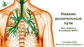 Болезни нижних дыхательных путей. Вебинар. Курс здоровья Я выбираю ЖИТЬ!