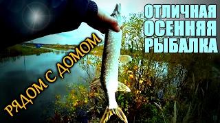 "Рядом с домом" - отличная рыбалка на городском пруду! МИКРО-ДЖИГ! Ловля прудового окуня и щуки!