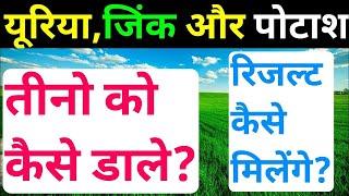 यूरिया, जिंक और पोटाश के फायदे ।। तीनो को कैसे मिलाकर डाले ।। यूरिया के फायदे ।। जिंक के फायदे