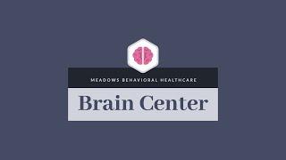 What is The Brain Center at Meadows Behavioral Healthcare?