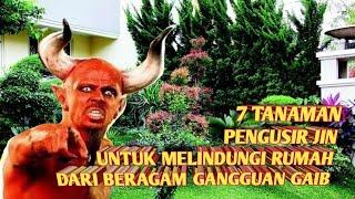 7 TANAMAN PENGUSIR JIN (Melindungi Rumah Dari Berbagai Macam Mahluk Gaib)