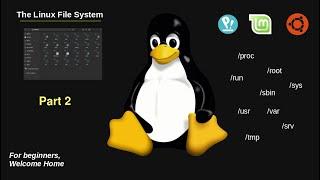 The Linux File System - The Basics! PART 2