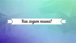 Шахматы. Урок 2. Как ходит пешка (поле превращения и битое поле)