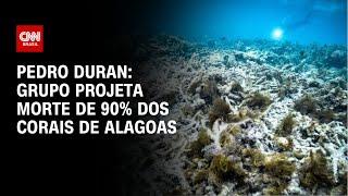 Pedro Duran: Grupo projeta morte de 90% dos corais de Alagoas | CNN NOVO DIA