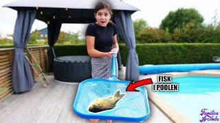 NÅGON SLÄNGDE I en LEVANDE FISK i vår POOL!!! inget PRANK | VLOGG