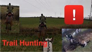 Very Loyal and Honest Horse, Irish Draught out Trail Hunting | Equestrian