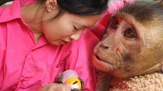 Huong was extremely shocked when she saw the wounds on the monkey Nahu's face.