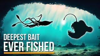 DEEPEST Bait I’ve Ever Fished