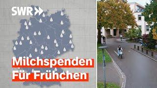 Keine Muttermilch? Wo Milchspenden Frühchen helfen | SWR Wissen