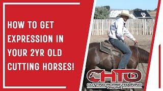 How To Get Expression In Your 2yr Old Cutting Horses!