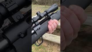 Savage axis 308