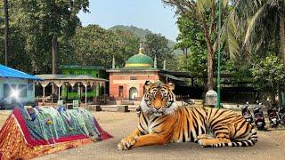 Mumbai Ki Ek Aisi Dargah Jahan Aate Hain Sher Salami Dene Zinda Karamat | Gaiban Shah Bhandup Dargah