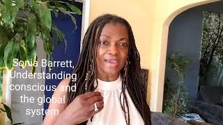 Understanding consciousness and the global system with Sonia Barrett